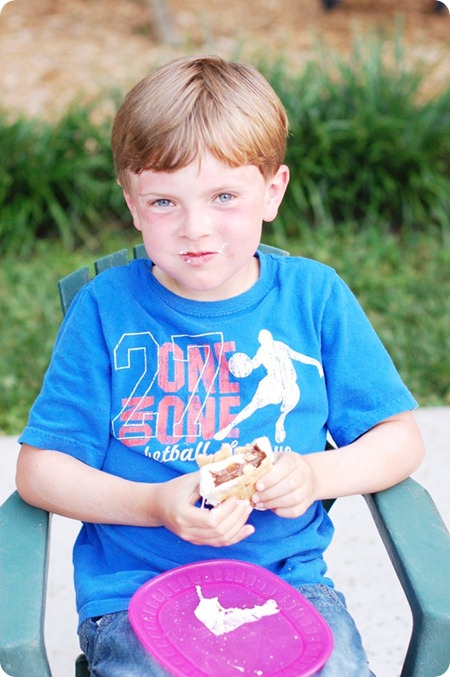 smores2-rs smores2-rs