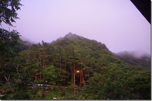 IMGP7608 IMGP7608