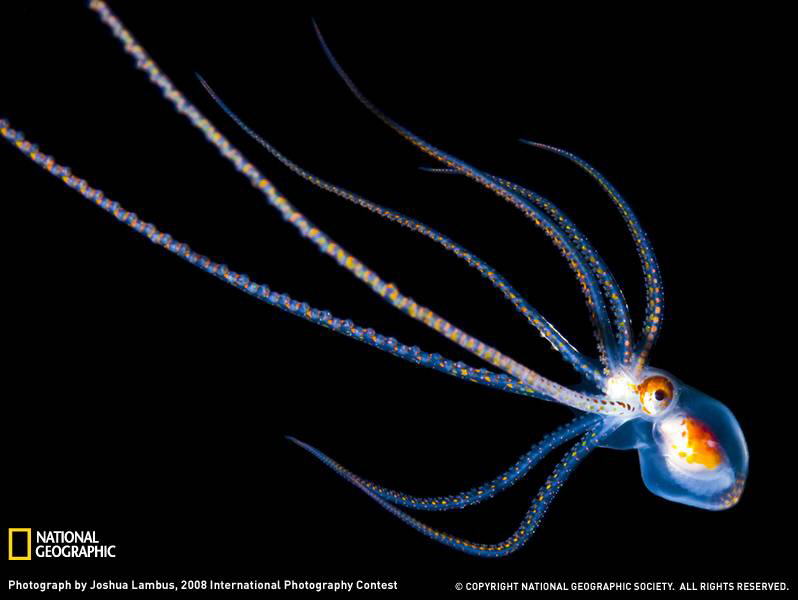 PHOTOS FROM NATIONAL GEOGRAPHIC