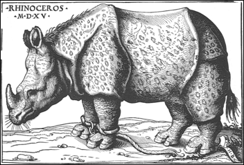 Bugrkmair, gravure de rhinocéros