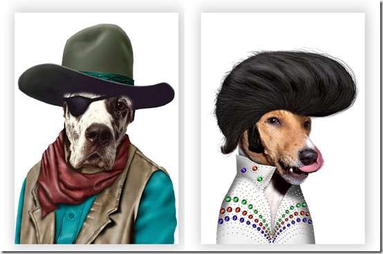 perros dsifrazados (3)