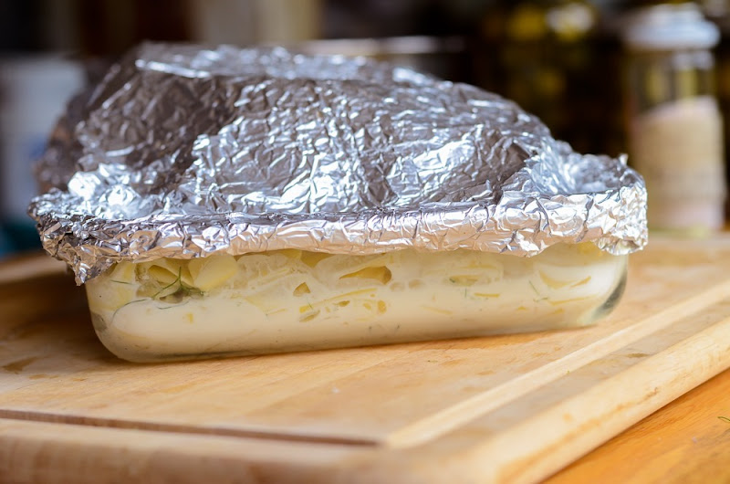 fennel scalloped potatoes-13269 fennel scalloped potatoes-13269