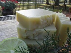 citrusbar_mini