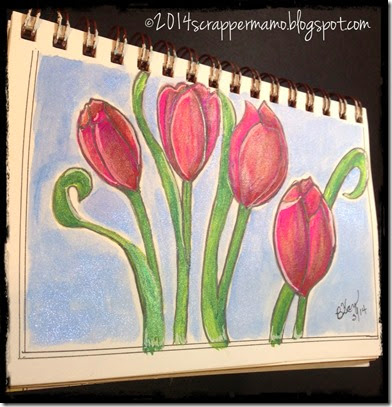 my tulips from DD