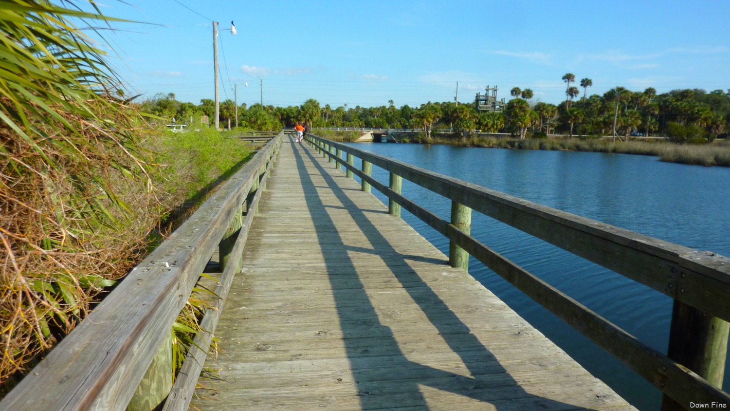 [Touring-Coast-_0164.jpg]