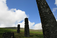 IMG_3384.jpg