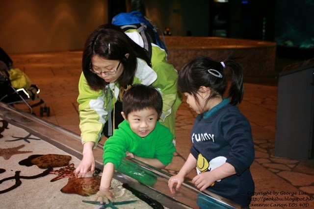 IMG_2992 IMG_2992