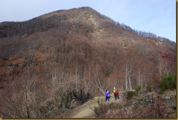 Monte Pollaio Monte Pollaio