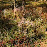 Stockholm - 2 Tag 126.jpg