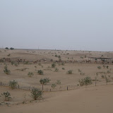 IMG_5327.JPG