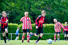 20130608 - WVV E3 - WESTERLEE TOERNOOI - 019.jpg