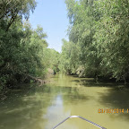 IMG_5758.JPG
