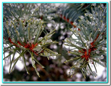 Gotas de cortesia Gotas de cortesia