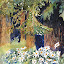 Daisies in the Forest