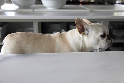 Well, maybe this will cheer you up.  Look what I found on the kitchen counter!