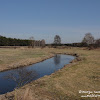 dsc07518.jpg
