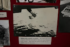 Release of messenger pigeons in World War II