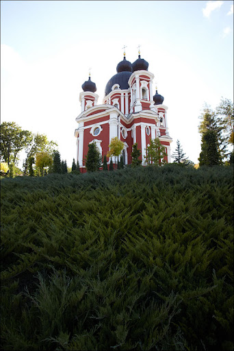 IMG_1928.jpg