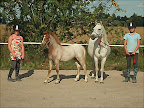 Sputnik agusti 2011