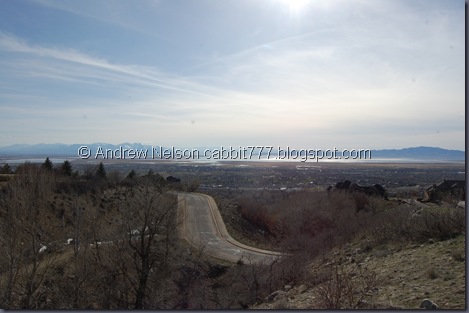 DSC_0987 DSC_0987