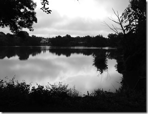 DSCN0819 DSCN0819