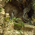 Camí de la Santa Cova, Montserrat