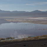 Laguna Colorada, dotted with flamingos
