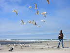 Morning at Lincoln City (27).JPG
