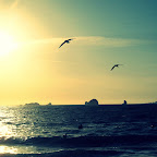 Oregon Oregon