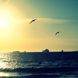Oregon Oregon