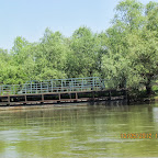 IMG_7723.JPG