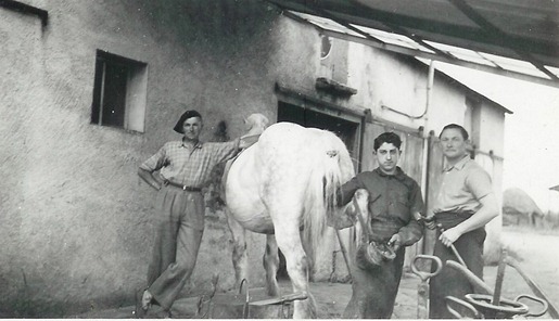 Le forgeron-marchal ferrant Marcel Hubert au travail dans les annes 1960 Le forgeron-marchal ferrant Marcel Hubert au travail dans les annes 1960