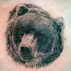 Bear #2