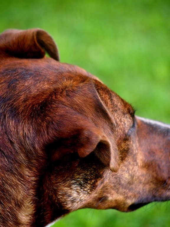 [11%2520July%25203%252003-06-2013%252011-00-38%255B3%255D.jpg]