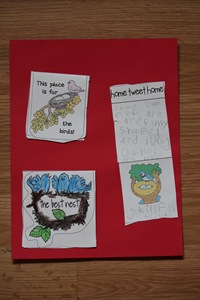 IMG_3627 IMG_3627