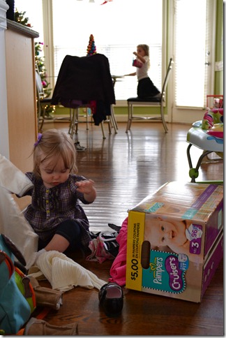 DSC_0500 DSC_0500