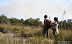 Mount_semeru_31.JPG
