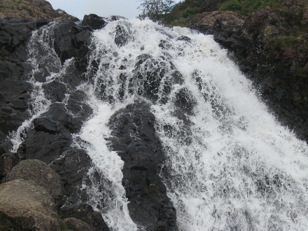 [IMG_22105.jpg]