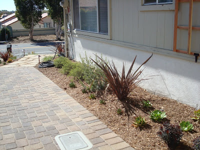 We installed interlocking pavers which are attractive, don't crack and allow water to infiltrate, reducing storm runoff and water pollution.