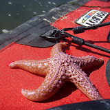 2007-09-23 drake's estero