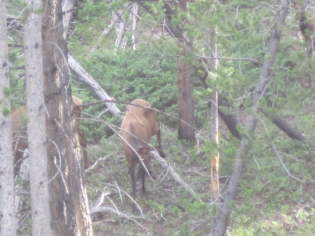 [IMG_1158%255B4%255D.jpg]