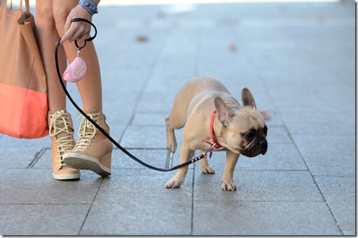 stylelab-wedge-sneaker-chloe stylelab-wedge-sneaker-chloe