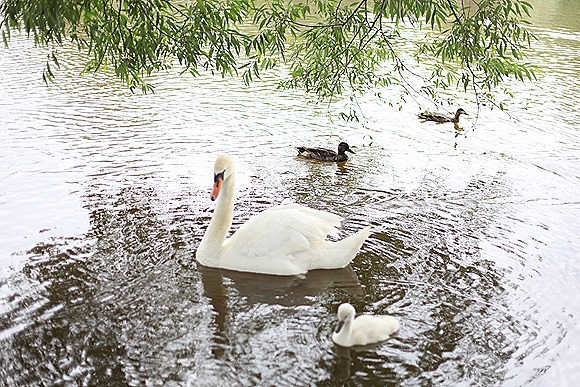 IMG_5900 IMG_5900