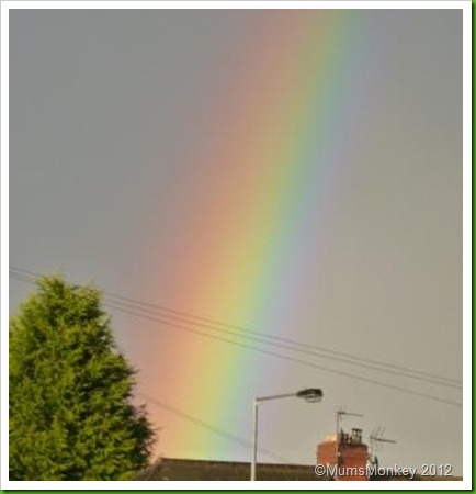 wishing on a rainbow