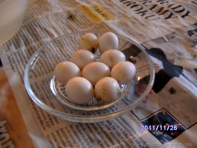 [PICT00482.jpg]