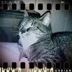 Tatt med HTC Desire (og Retro Camera)