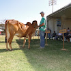 superleite2011_dia1507_112.JPG