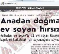  Köpek Saldırırsa Soyunun!
