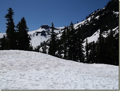 DSCF0433
