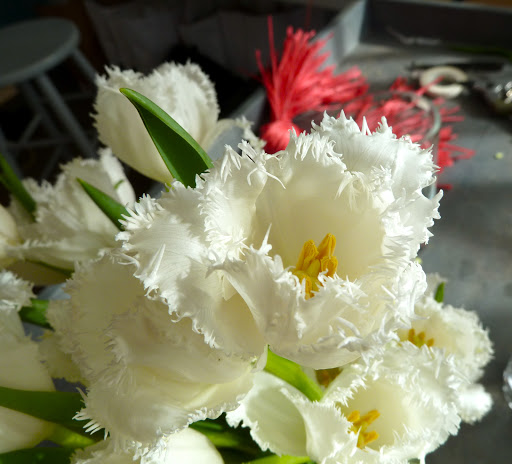 Aren't these tulips lovely? They were so perfect for the story.